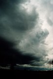 N of Taroom 1:40pm