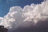 cumulonimbus_calvus