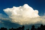 cumulonimbus_calvus