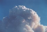 pyrocumulus