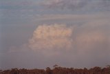 cumulonimbus_calvus