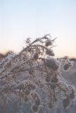 Purchase a poster or print of this weather photo