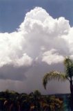 cumulonimbus_calvus