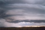 shelf_cloud