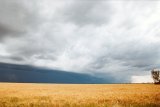 Australian Severe Weather Picture