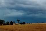 Australian Severe Weather Picture