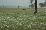 Purchase a poster or print of this weather photo