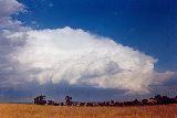 Australian Severe Weather Picture