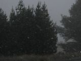 snow_pictures