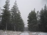 snow_pictures