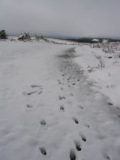 snow_pictures