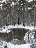 Purchase a poster or print of this weather photo