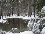 Purchase a poster or print of this weather photo