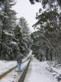 snow_pictures