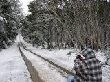 Purchase a poster or print of this weather photo