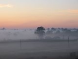 fog_mist_frost