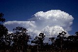 cumulonimbus_incus