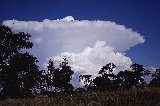 cumulonimbus_incus