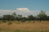 cumulonimbus_calvus