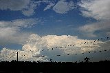 Australian Severe Weather Picture