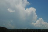 cumulonimbus_calvus