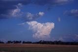 cumulonimbus_incus