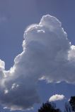 pileus_cap_cloud