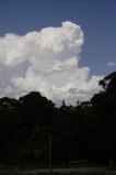 cumulonimbus_calvus