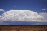 cumulonimbus_incus