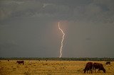 Purchase a poster or print of this weather photo