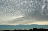 mackerel_sky