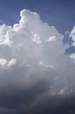 cumulonimbus_calvus