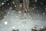snow_pictures