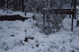 snow_pictures