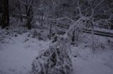 snow_pictures