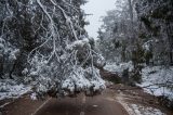 Purchase a poster or print of this weather photo