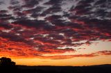 altocumulus_cloud