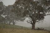 Purchase a poster or print of this weather photo