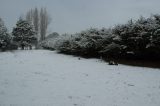 snow_pictures