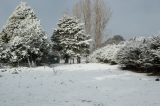 snow_pictures