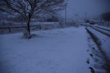 snow_pictures