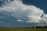 cumulonimbus_incus