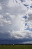 cumulonimbus_incus