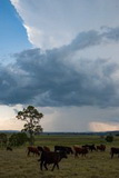 Purchase a poster or print of this weather photo