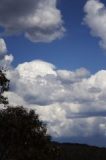 pileus_cap_cloud