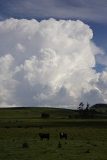 cumulonimbus_incus