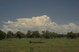 Purchase a poster or print of this weather photo