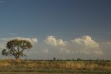 pileus_cap_cloud