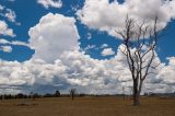 Purchase a poster or print of this weather photo