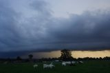 shelf_cloud